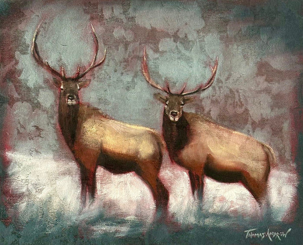 Elk series #47