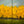 Load image into Gallery viewer, Yellow Trees Diptych series #23
