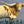 Load image into Gallery viewer, Longhorn #01
