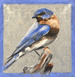 Eastern Bluebird #02 / Art Print