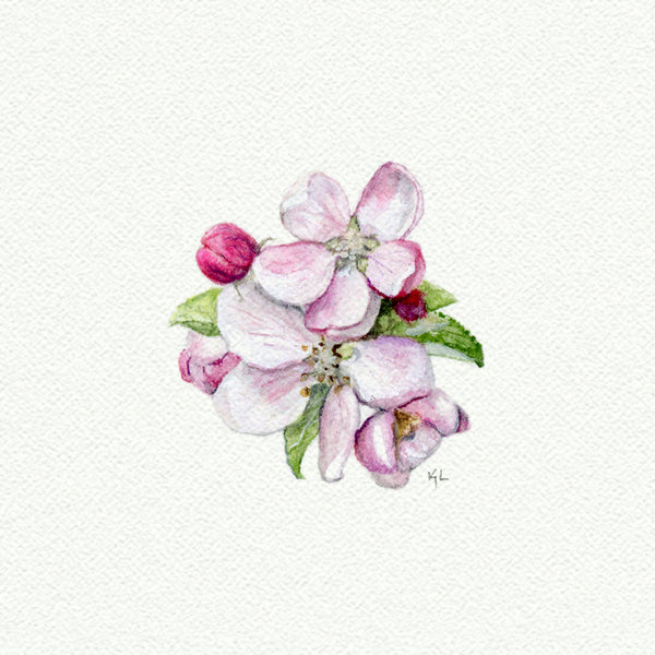 Apple Blossom Miniature watercolor reproduction by Karen Libecap