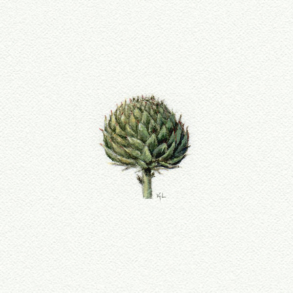 Artichoke Miniature watercolor reproduction by Karen Libecap