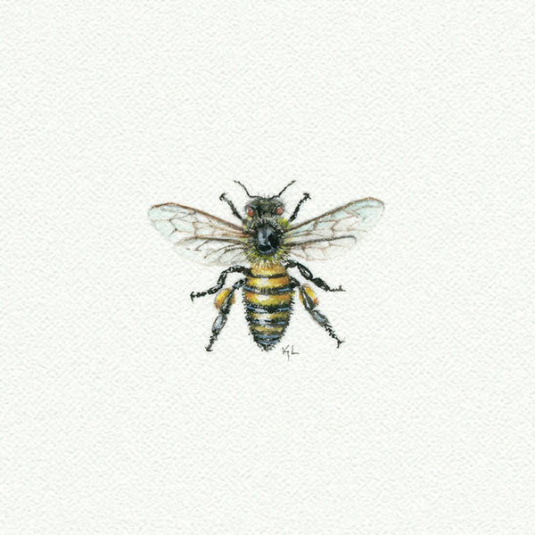 Bee Miniature watercolor reproduction by Karen Libecap