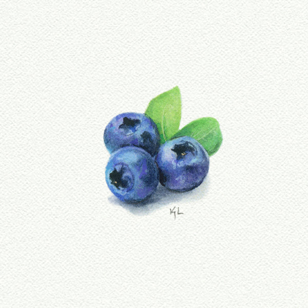 Blueberries Miniature watercolor reproduction by Karen Libecap