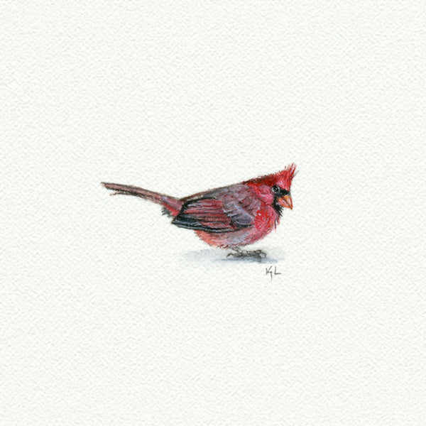 Cardinal Miniature watercolor reproduction by Karen Libecap