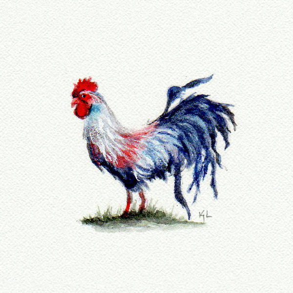 Chicken Miniature watercolor reproduction by Karen Libecap