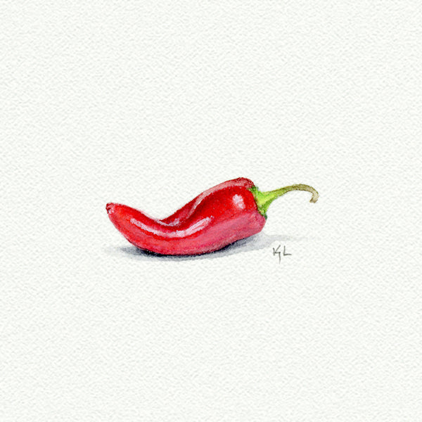 Chili Pepper Miniature watercolor reproduction by Karen Libecap