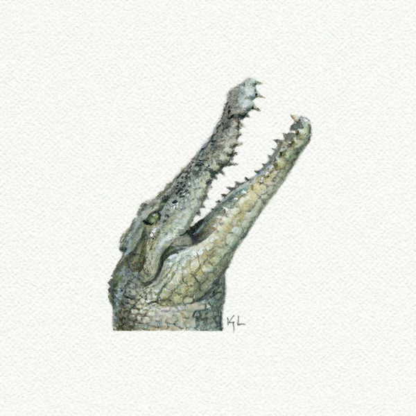 Crocodile Miniature watercolor reproduction by Karen Libecap