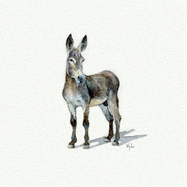 Donkey Miniature watercolor reproduction by Karen Libecap