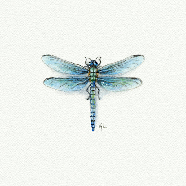 Dragon Fly Miniature watercolor reproduction by Karen Libecap