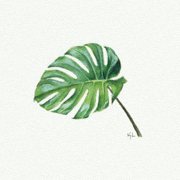 Monstera Plant Miniature watercolor reproduction by Karen Libecap