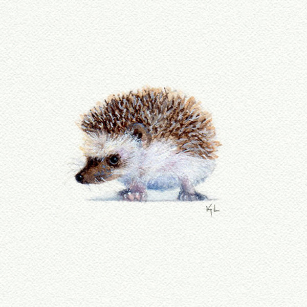 Hedgehog Miniature watercolor reproduction by Karen Libecap