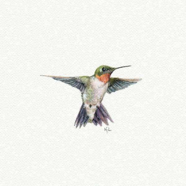 Hummingbird Miniature watercolor reproduction by Karen Libecap