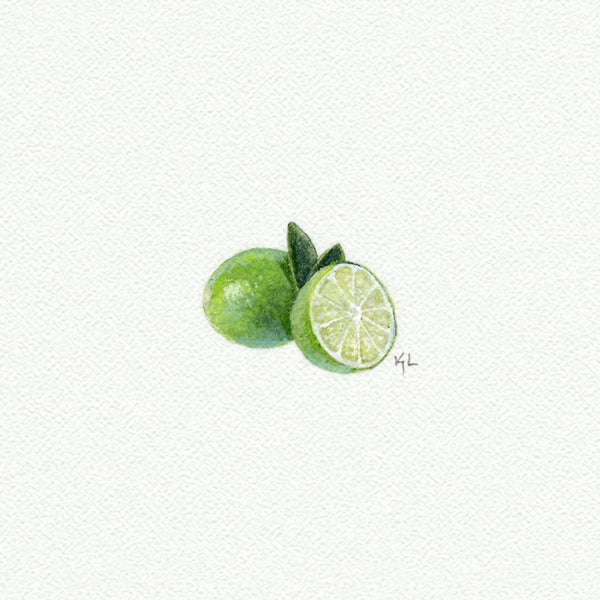 Limes Miniature watercolor reproduction by Karen Libecap