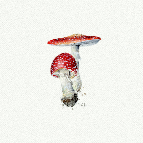 Mushrooms miniature watercolor reproduction by Karen Libecap