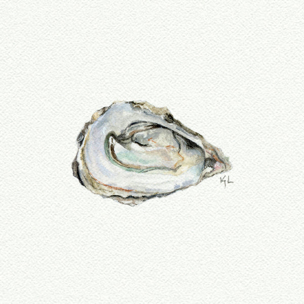 Oyster Miniature watercolor reproduction by Karen Libecap