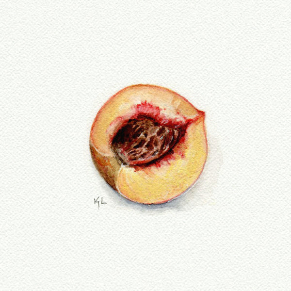 Peach Miniature watercolor reproduction by Karen Libecap