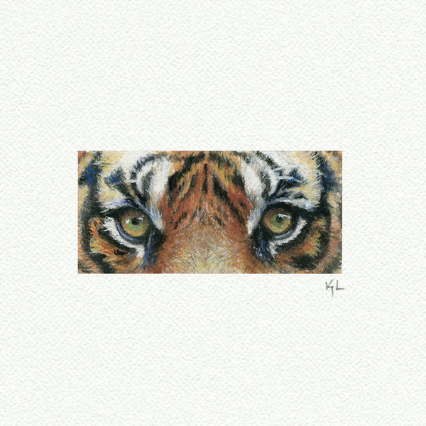 Tiger Eyes Miniature watercolor reproduction by Karen Libecap