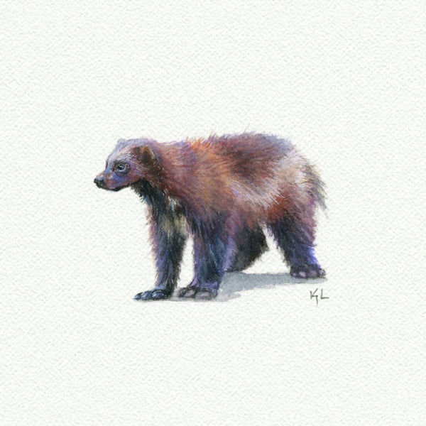 Wolverine Miniature watercolor reproduction by Karen Libecap